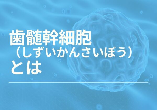 歯髄幹細胞について