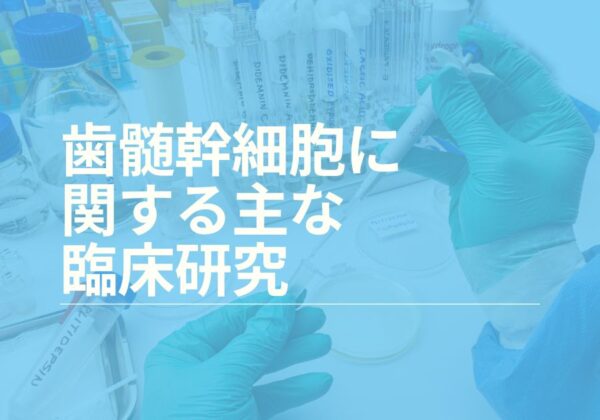 歯髄幹細胞に関する主な臨床研究