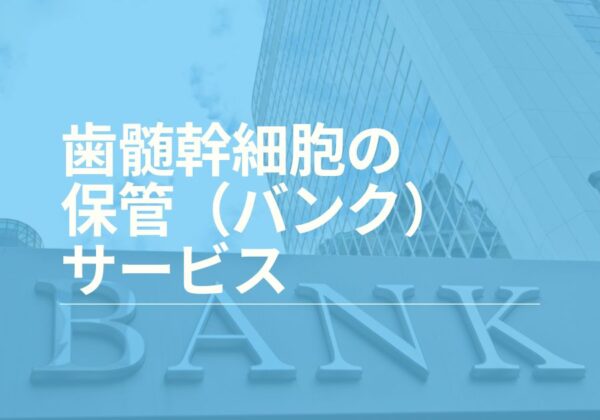 歯髄保管（バンク）サービスとは